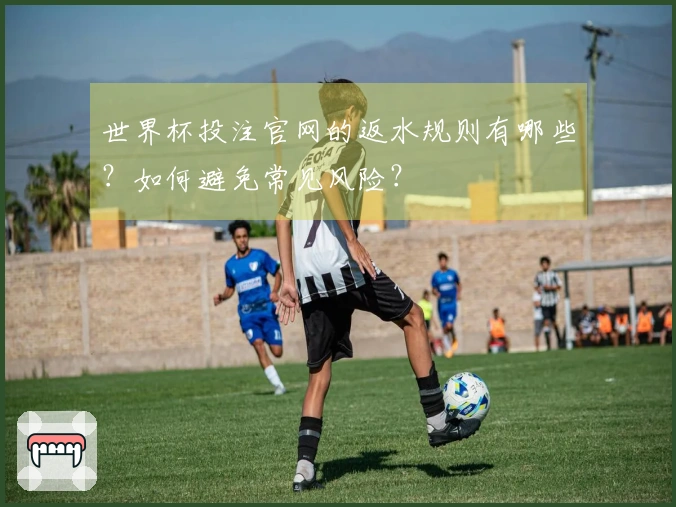 世界杯投注官网的返水规则有哪些？如何避免常见风险？