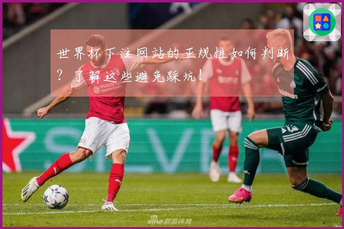 世界杯下注网站的正规性如何判断？了解这些避免踩坑！