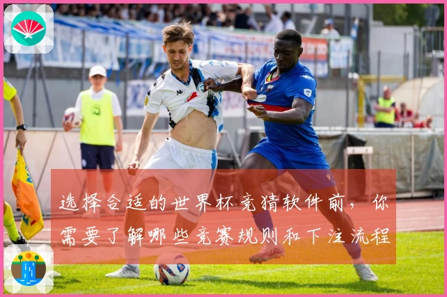 选择合适的世界杯竞猜软件前，你需要了解哪些竞赛规则和下注流程？